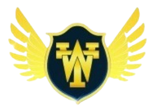michaelthurin.com icon