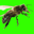 mielbiologique.com icon