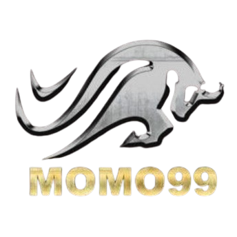 millenniumcomputer.net icon
