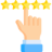 mineolanylocksmith.com icon