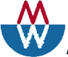 minewave.com icon