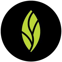 mintdentistry.com logo