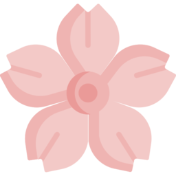 misakimei.top icon