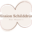 missionschilddruese.com icon
