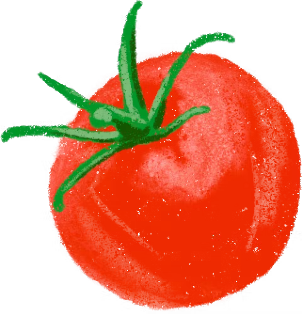 miznonusa.com icon