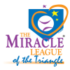 mltriangle.com icon
