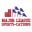 MLV logo
