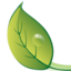 mnrainman.com icon