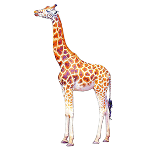 modelmsk.ru icon