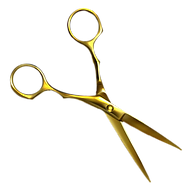 Modern Hairstyling Institute-Bayamon official logo
