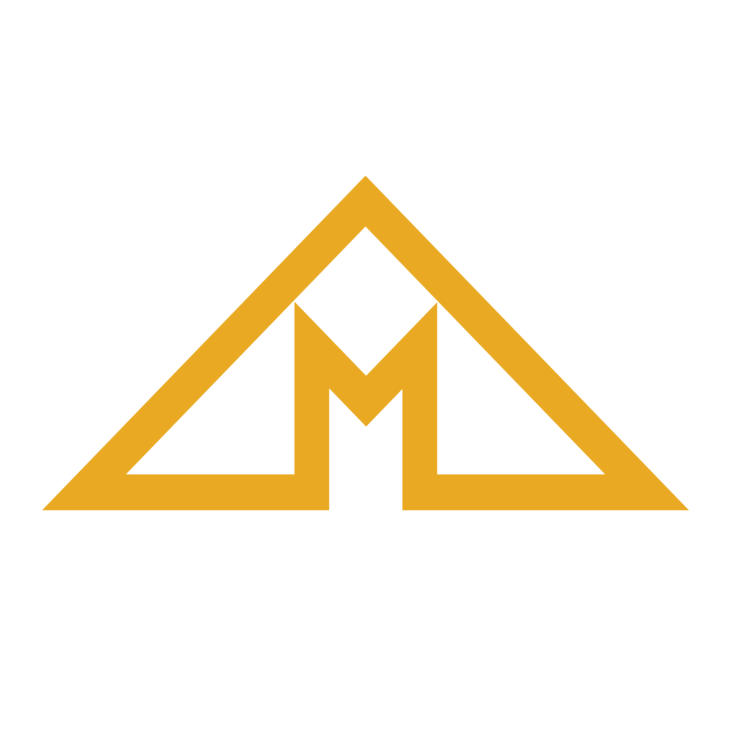 moldmedics.com icon