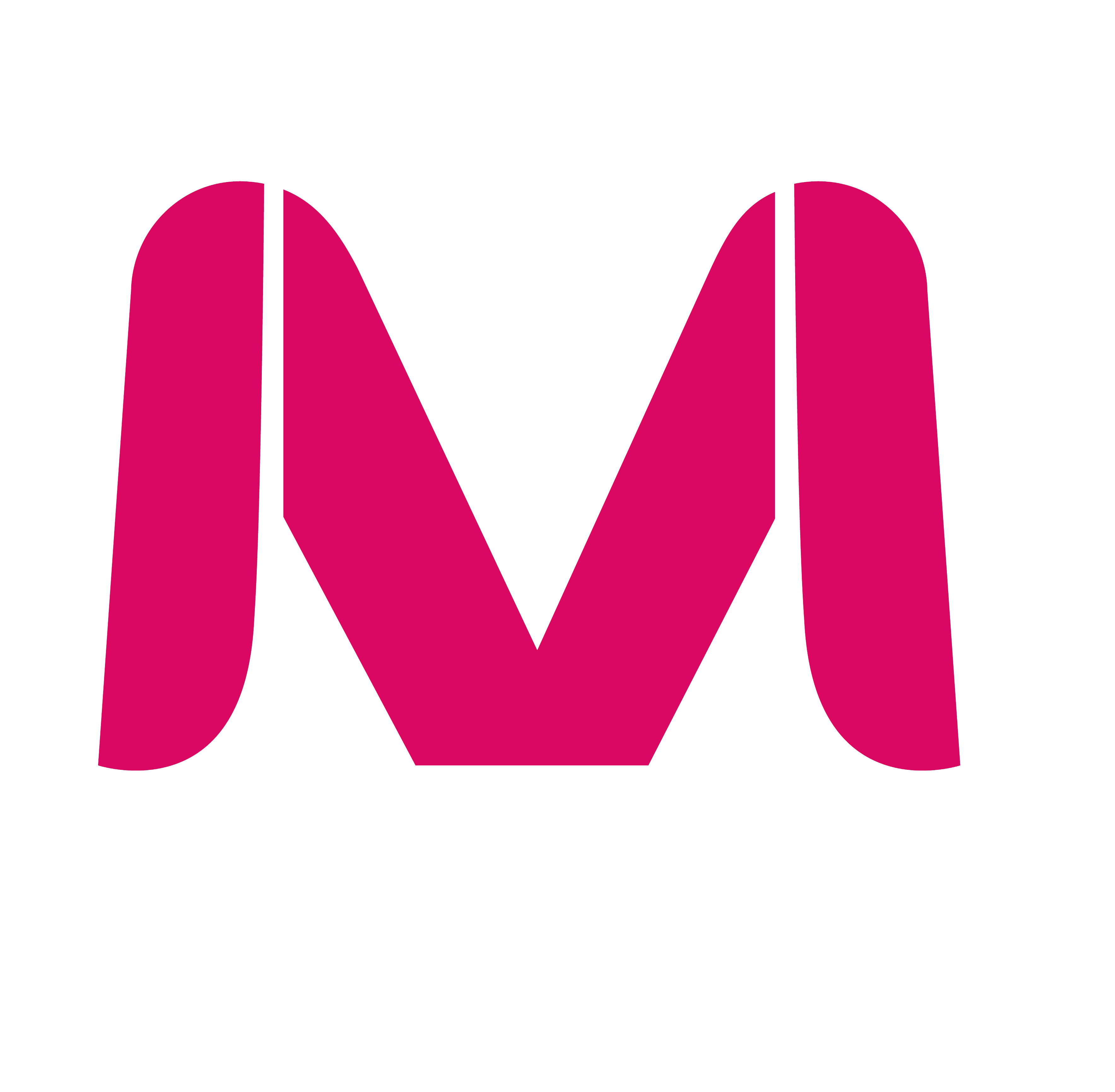 moldoplastico.com icon