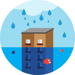 moldremovalinbowie.com icon