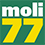 moli77-blaze.org icon