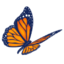 monarchfuneralhome.com icon