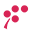 monety-yagidky.com.ua icon
