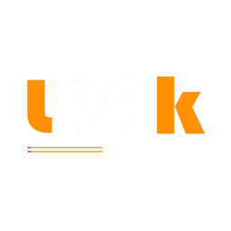 moneyleek.online icon