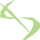 moneypit.com icon