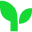 moneytree.jp logo
