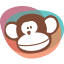 monkeysoftsolutions.com icon