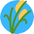 monologosdoarroz.com.br icon