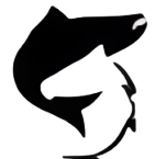 montanaflyfishinglodge.com icon