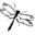 montananaturalist.org icon