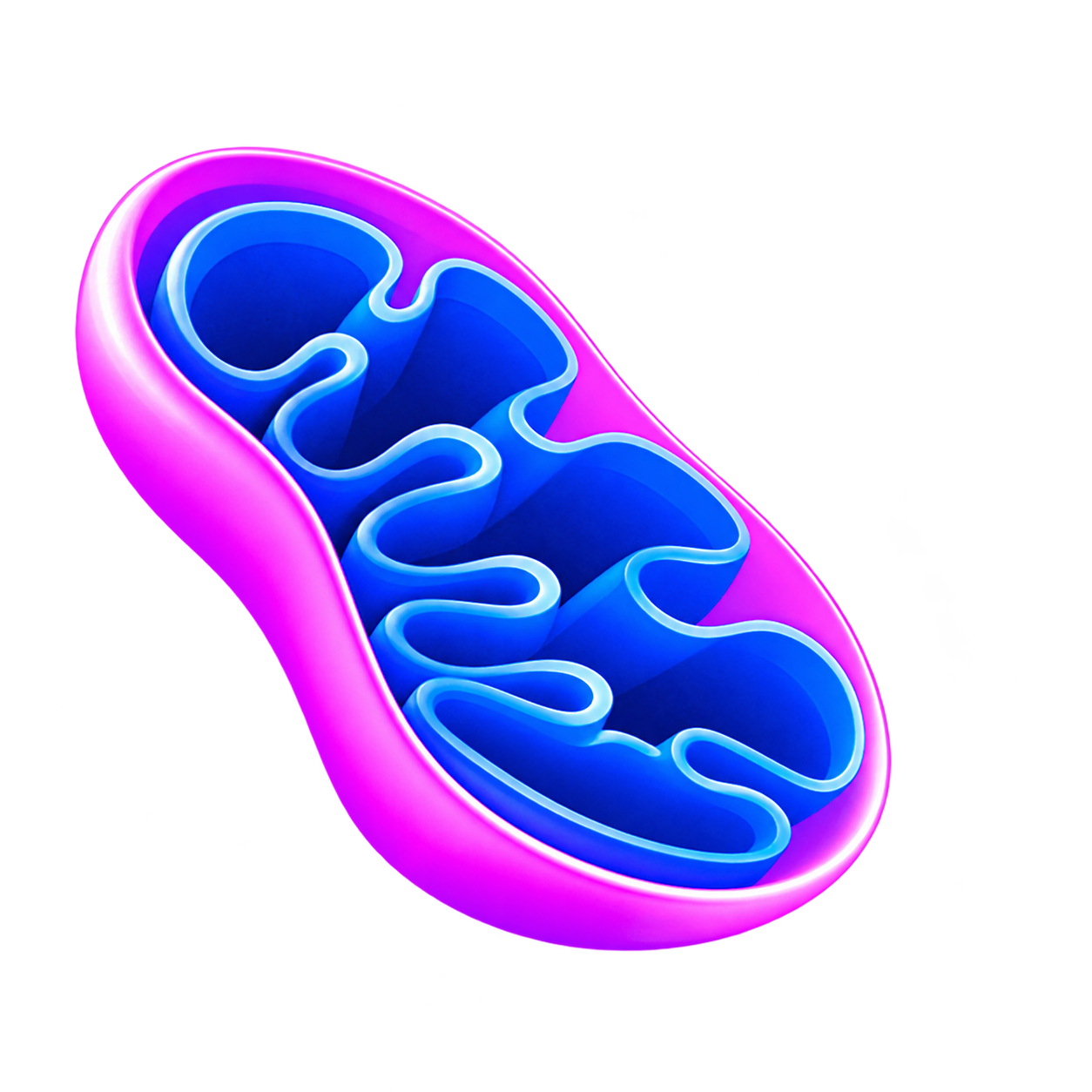 moremito.com icon