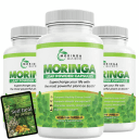 moringa--magic.com icon