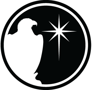 morningstarministries.org icon