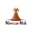 moroccanmode.com icon