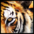 mortgagemarketinganimals.com icon