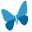 mothcloud.com icon