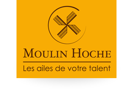 moulinhoche.com icon