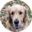 mozz.us logo