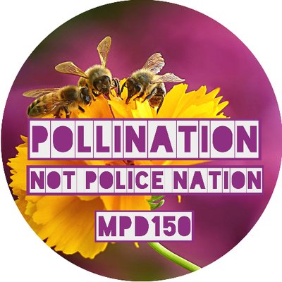 mpd150.com icon