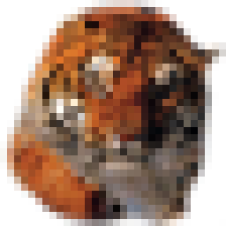 mptropic.co.rs logo