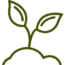 mrazfamilyfarms.org icon