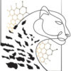 mrleopard.com.cy icon