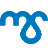 ms.is logo