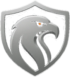 ms4.it icon