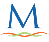 msfiber.net logo