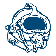 Marine Solutions (MSI) logo