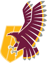 msumcmaster.ca icon