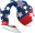 msveteranamerica.org icon