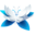 mtcup.org icon