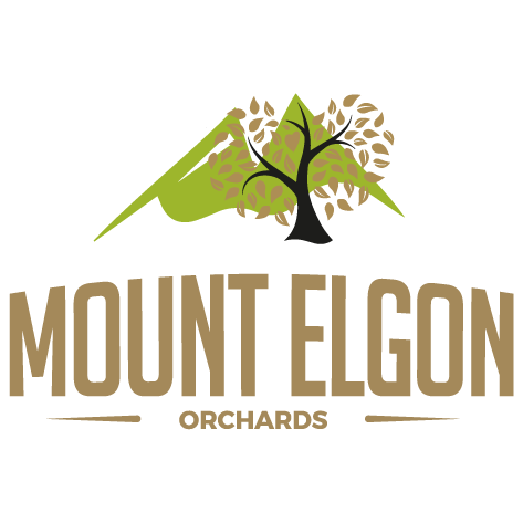 mtelgon.com icon