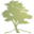 mtlebanoncamp.com icon