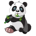 mucitpanda.com logo
