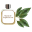 mundodefragancias.com icon